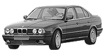 BMW E34 P398E Fault Code